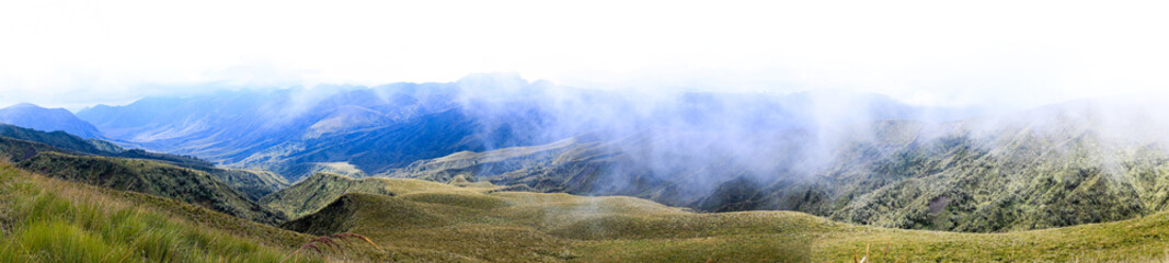 Panorama of a valley full of itchu grasses: a background of a paramo ecosystem in the andean mountains