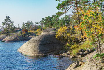 Trees on the cliffs of Lake Ladoga at autumn evening.