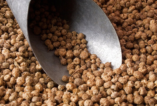 Marcela seeds it is an herb from the Brazilian flora cultivated in the south of the country and among the various therapeutic benefits, it serves for gastric and anti-inflammatory problems. 