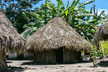 Fototapeta na wymiar Tribe house in the jungle
