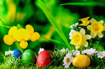 Obraz na płótnie Canvas Easter colored eggs, a composition with flowers grass