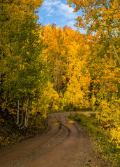 Muddy Dirt Road Through Changing Colors of Autumn in Colorado.