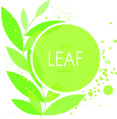 Green leaves on white background, vector illustration