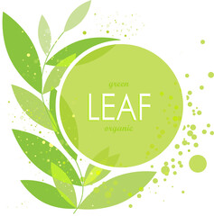 Green leaves on white background, vector illustration