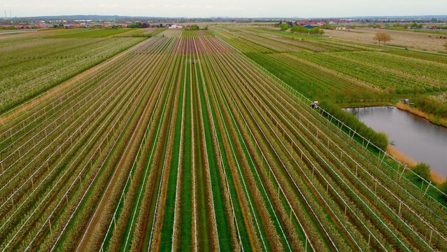 Famous Altes Land District At The City Of Hamburg With Its Huge Apple Tree Fields - Aerial Photography