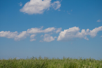 緑の草原と青空
