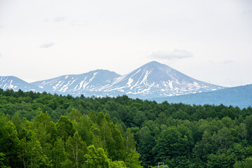 新緑の森と残雪の山並み　大雪山
