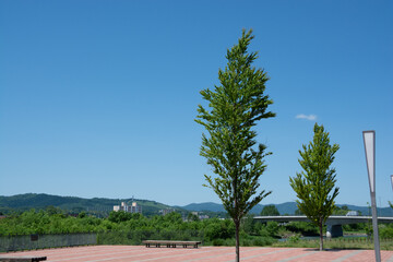 初夏の青空
