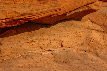 a lizard on the stone, Grand Canyon 