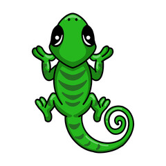 Cute little chameleon cartoon character