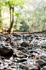 Beautiful landscape, rocks in the river in Brazilian forest.