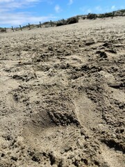 Beach walk and footprints in the and with the dunes in the background. 