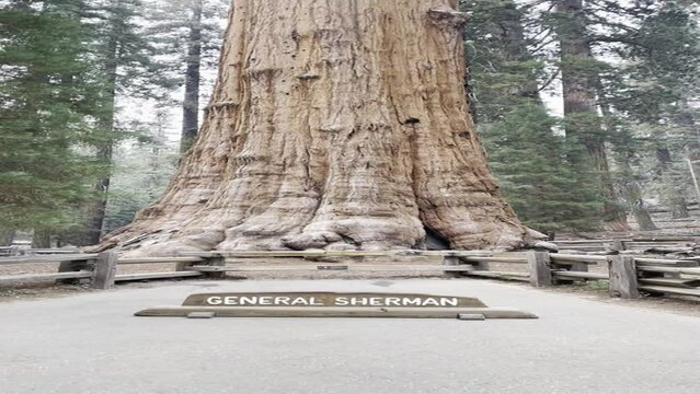 General Sherman