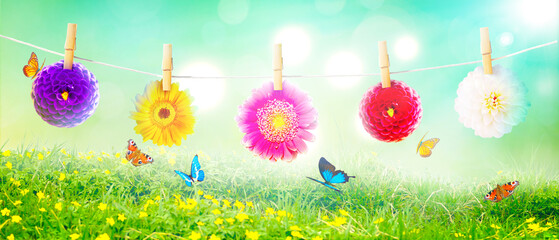Spring and summer panorama with gerbera flower.