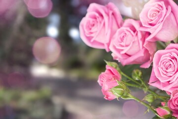 Pink tulip flower with green leaves on a blurry background. Beautiful blooming of a bright pink flower in a spring garden
