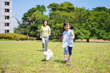 おばあちゃんと犬の散歩をする小さな女の子