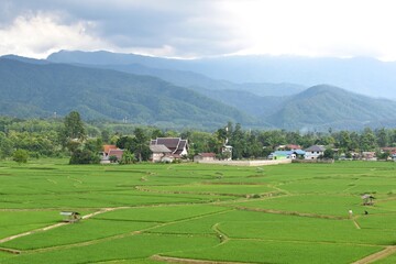 Fototapeta na wymiar Beautiful scenic of green rice fields and mountains, high angle view from Wat Phuket in Pua District, Nan province, THAILAND.