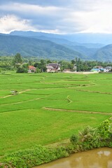 Beautiful scenic of green rice fields and mountains, high angle view from Wat Phuket in Pua District, Nan province, THAILAND.