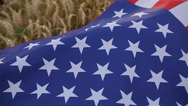 Close-up of a large usa flag lies on ears of wheat in a field