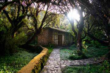 old house in the woods