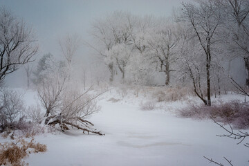 Obraz na płótnie Canvas Fogg on the cold winter day by the St. Lawrence river 