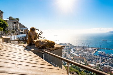 View from the lookout point terrace near Prince Ferdinand's Battery on the Rock of Gibraltar of the...