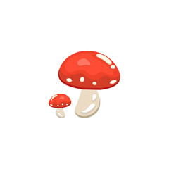 The Best Colorful Mushroom Vector Picture