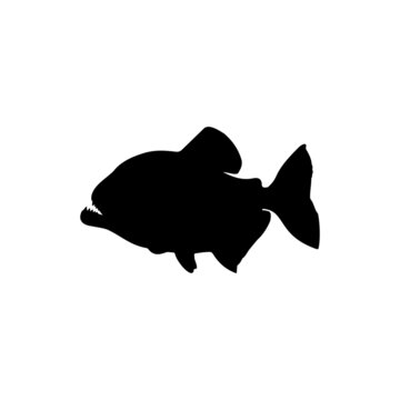 black piranha silhouette on white background clip art preview