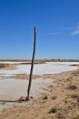 Telephone lines and poles destroyed by creeping salt pan