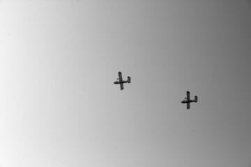 Birds over Torre del Lago Beach