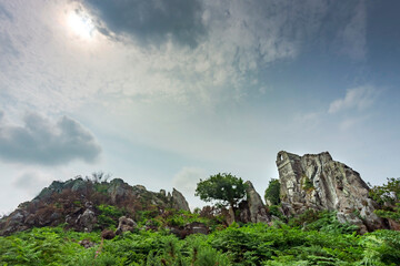 Roche Rock,ruins of Chapel,surrounded by green summer countryside,Roche,Cornwall,England,United...