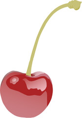 cherry on a white background