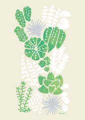 green and white succulents, plants watercolor ivory background. 多肉植物のイラスト