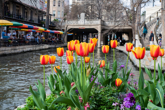 River walk San Antonio