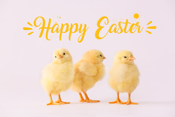 Cute fluffy chickens and text HAPPY EASTER on light background