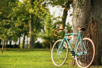 Fototapeta premium Stylish bicycle near tree in park