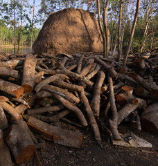 Charcoal manufacture using traditional soil covered fires used in Asia using trees from rubber...
