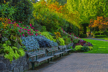 Resting place at the Park in Vancouver City. Bench is located under the canopy of spreading tree on a green lawn with flower beds among flowering shrubs,   British Columbia, Canada
