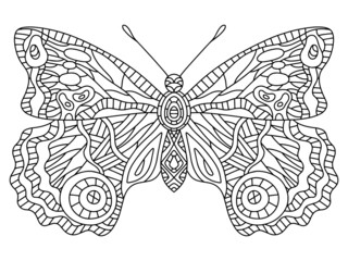 Ornamental fantasy butterfly hand-drawn vector illustration. Funny colouring page for adults horizontal printable worksheet. Detailed insect with big wings linear print