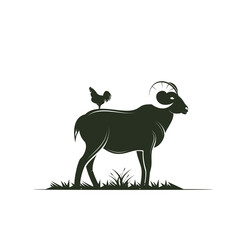 goat and chicken animal logo design