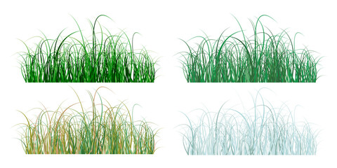 Grass Vector Template Isolated on White Background.