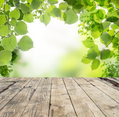 Naklejka na ściany i meble Wooden table and blurred green leaf nature in garden background