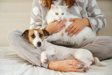 Caucasian woman holding a white fluffy cat and Jack Russell Terrier dog while sitting on the bed....