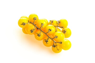 Branch with yellow cherry tomato