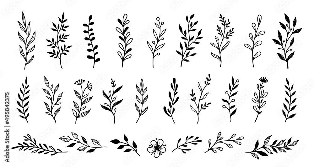 Aufkleber leaf branch wreath rustic set. hand drawn sketch doodle style leaf. flourish branch, laurel flower f