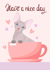 A sphinx cat in a cup. Have a nice day. Postcard. Cartoon design.
