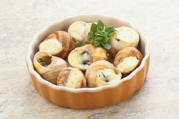 Delicous baked snail with butter - Escargot