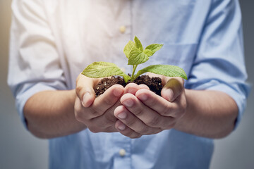 Caring for the future. Shot of hands holding a pile of soil with a plant in.