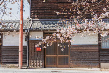 昔ながらの日本家屋と桜　日本のイメージ
