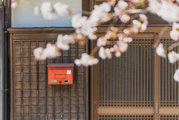 昔ながらの日本家屋と桜　日本のイメージ